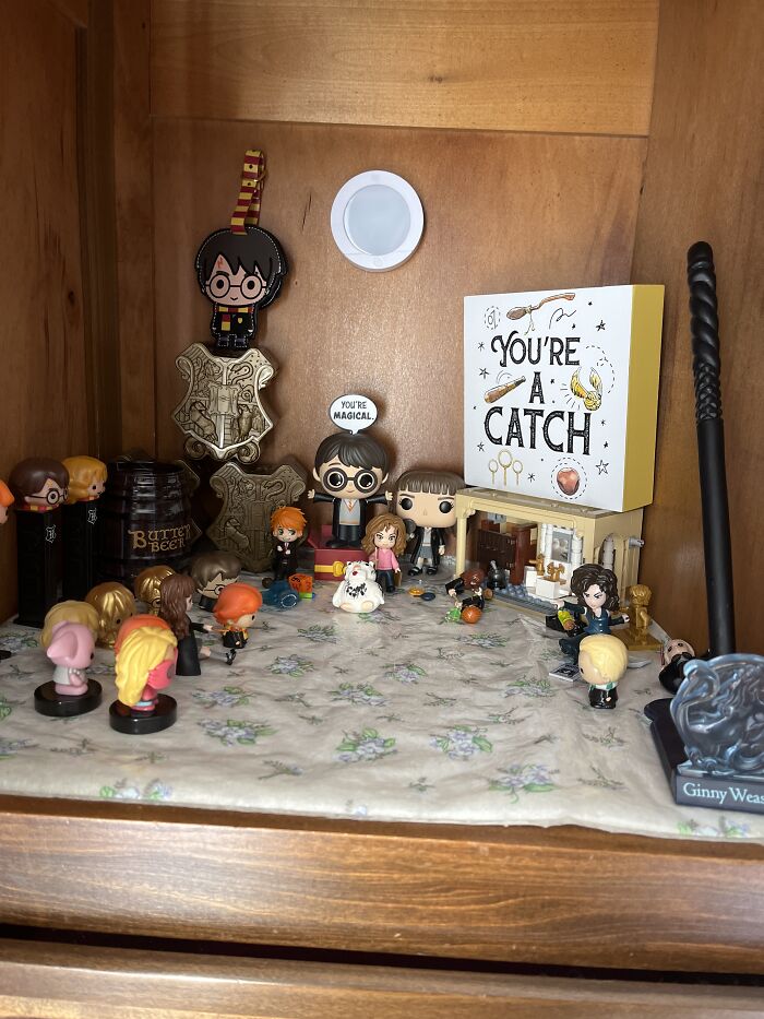 My Secret Harry Potter Cabinet Hehe