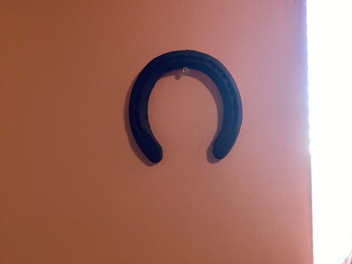 This Horseshoe, My Friend Left It At My House After A Ride (Her Horse Pulled A Shoe Off). I Painted It Cause It’s Been 5 Years Since The Incident And She Doesn’t Remember The Incident Lol