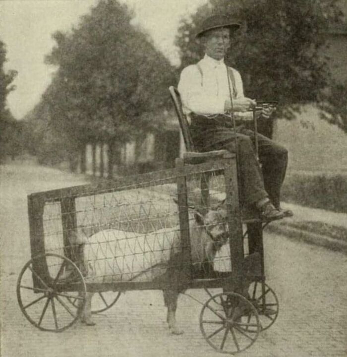 A Man And His Goat Mobile, Early 1900s