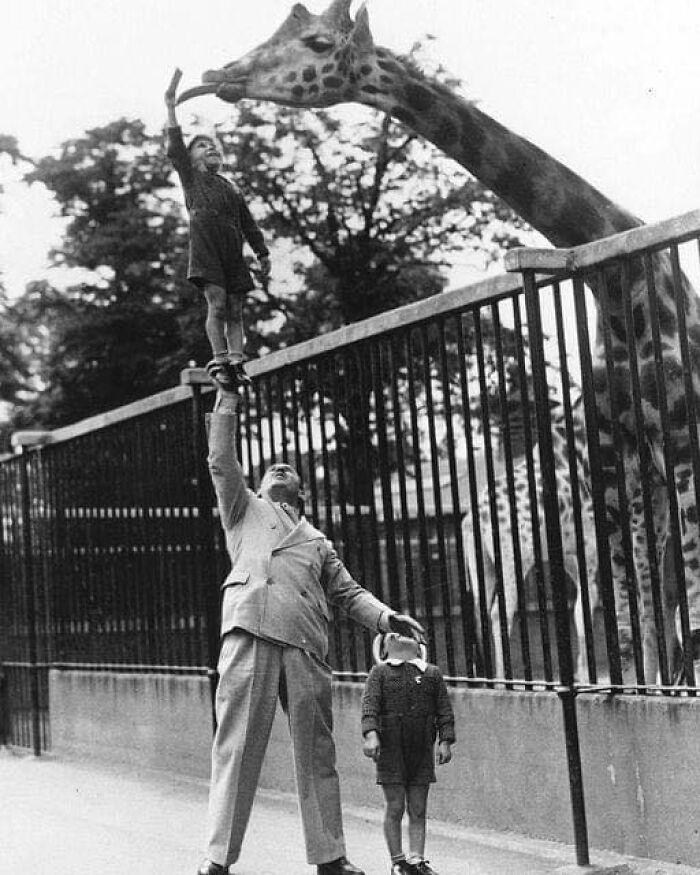 A Father Helping His Son Feed A Giraffe At London Zoo