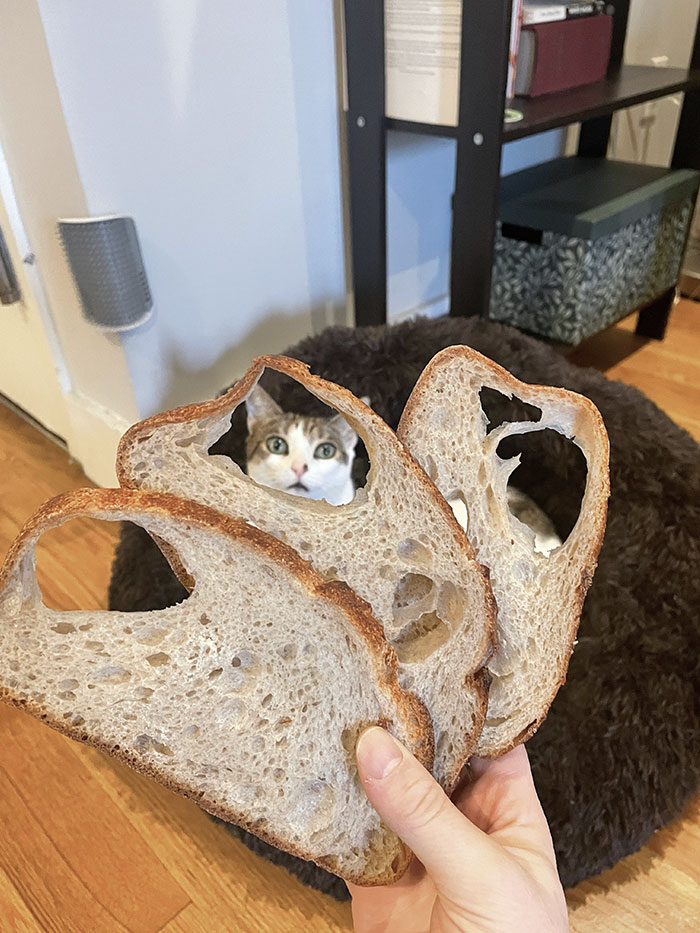 This Bread Costs $7.99 For A Half-Loaf