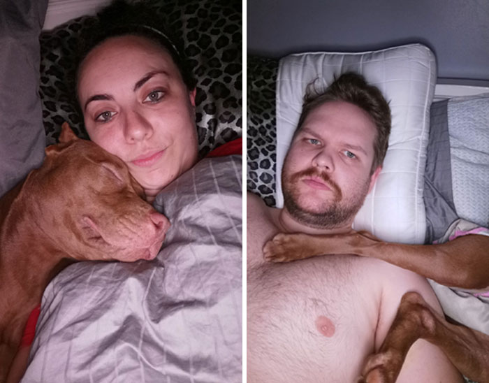 How My Girlfriend Gets To Sleep vs. How I Get To Sleep With The New Foster Dog