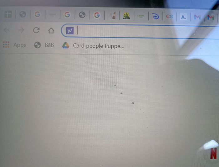 Every Time I Update My Computer It Changes My Browser From Google To Something Random, It’s Rarely The Same Thing Twice