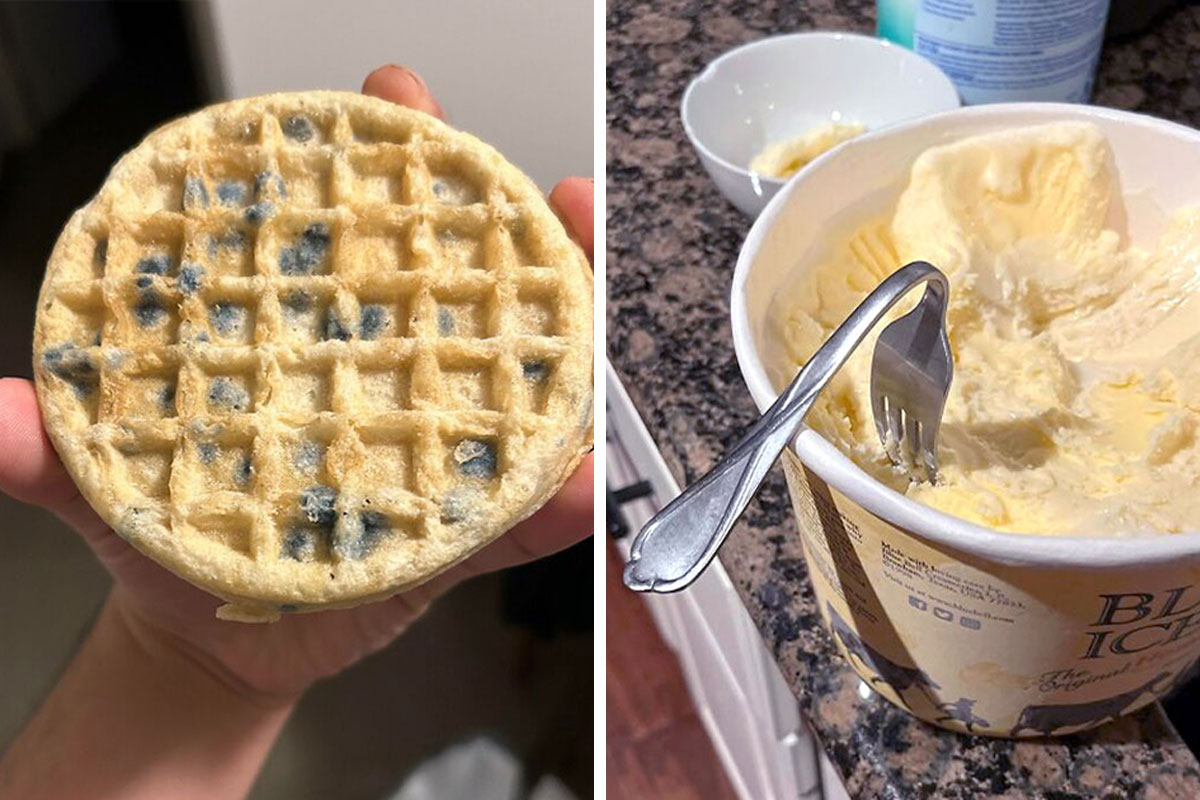 Took two and a half hours to get through cooking the recipe portion that  CAME WITH my mini waffle maker : r/mildlyinfuriating