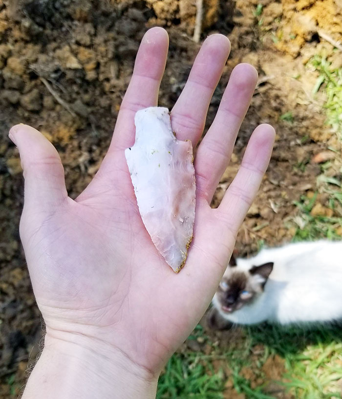 I Found This Arrowhead While Digging A Hole In My Backyard