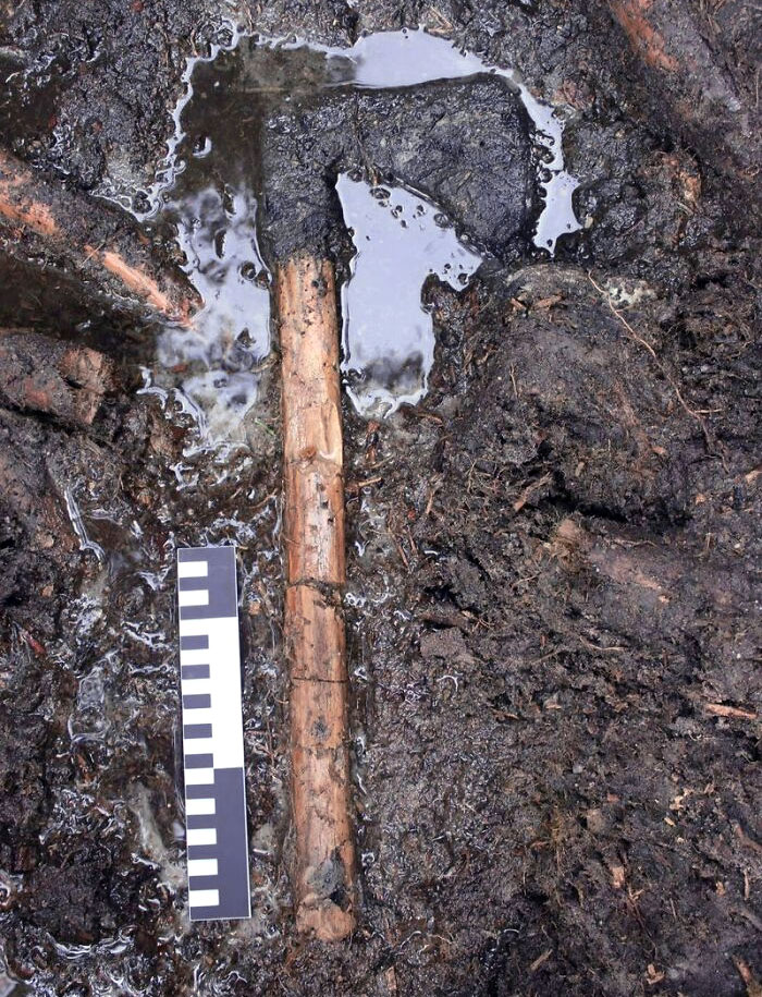 Medieval Ax With A Preserved Wooden Handle Was Discovered On The Island Of Ledniczka In Poland