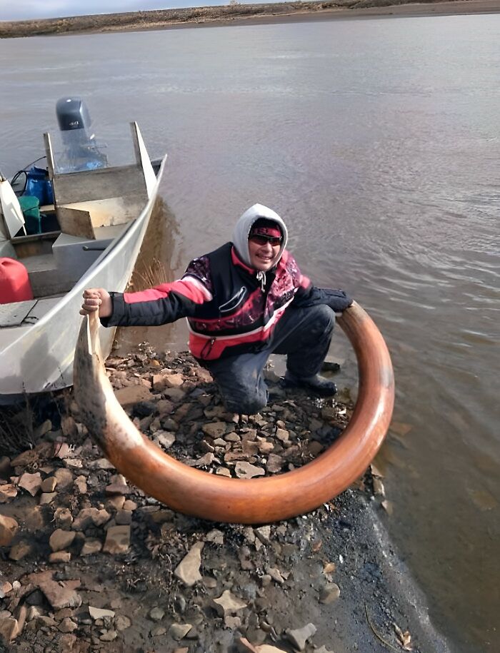 A Mammoth Tusk Just Found In The Arctic