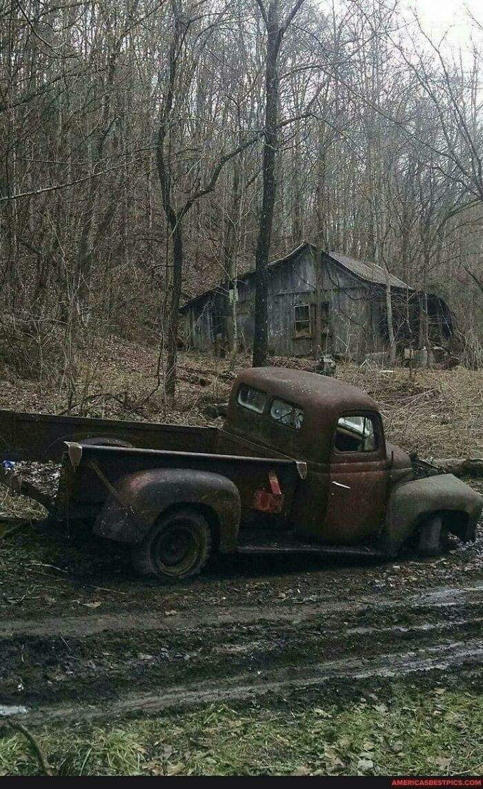 This Car And Cabin