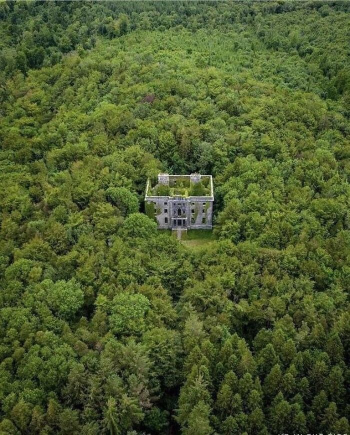 An Abandoned Mansion In The Irish Forests