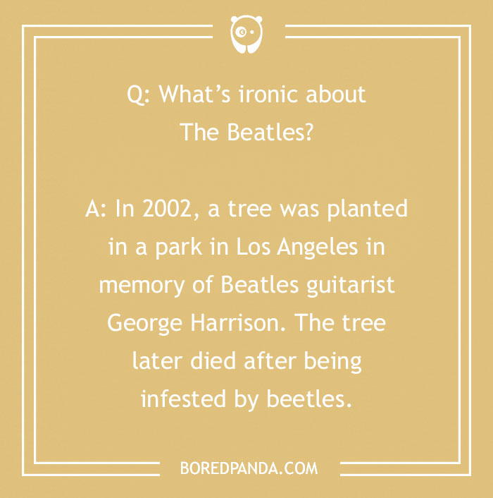 134 Ironic Jokes That We Just Can't Live Without