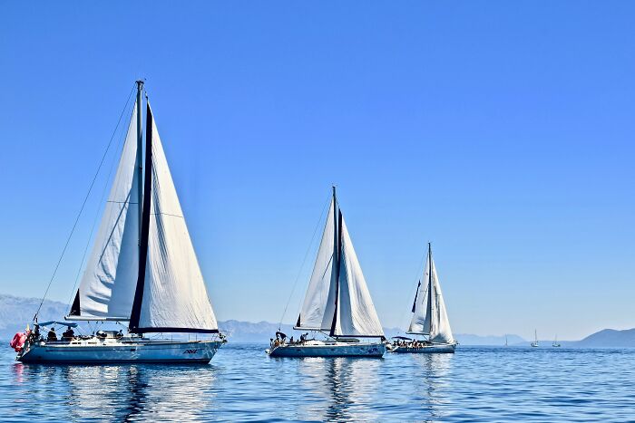 sailing boats in the ocean