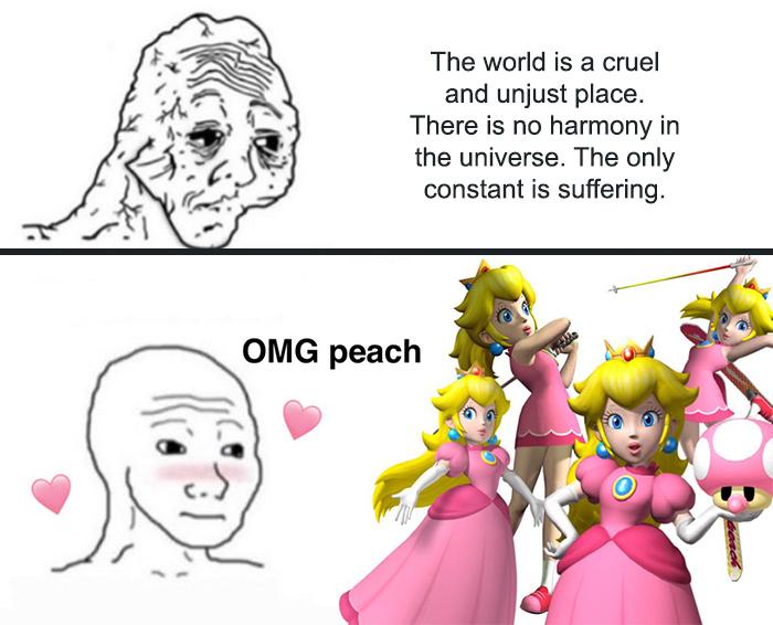 Meme about life being a cruel and unjust place without Princess Peach