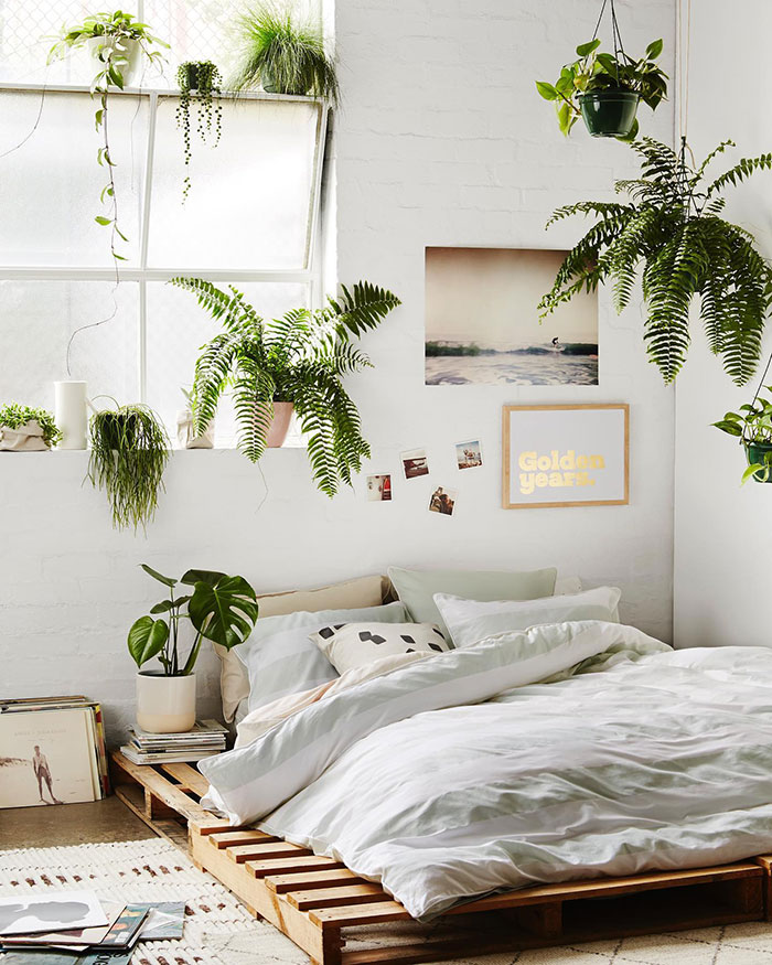 Plants in a white master bedroom