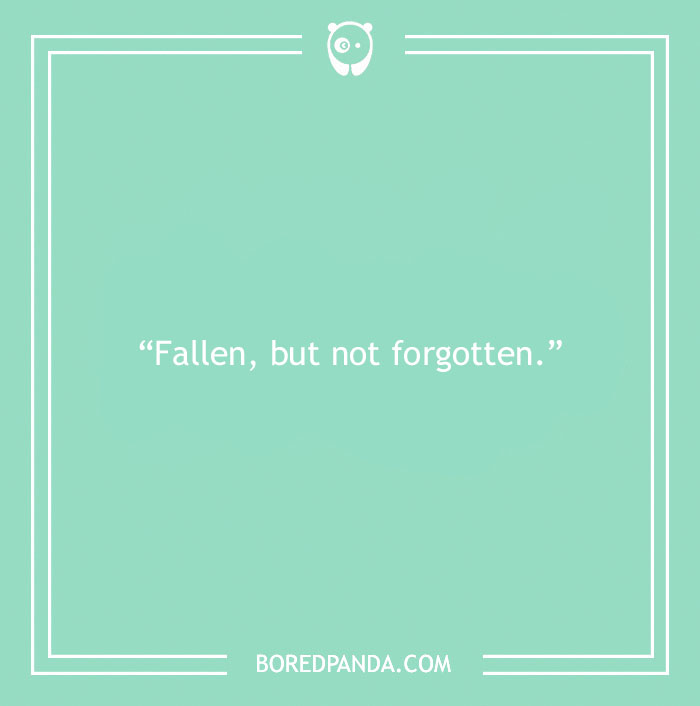 150 Memorial Day Quotes To Express Gratitude And Celebrate Freedom