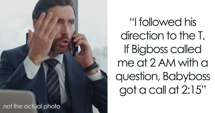 “He Loved To Micromanage”: Worker Teaches Boss A Lesson After Latest Demand Gets Him Fired