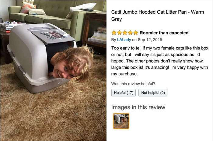 This Woman's Review Of A Litter Box On Amazon