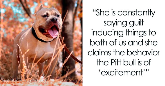 Mom Refuses To Leave Her 1-Year-Old At MIL’s Because She Won’t Lock Up Her Pit Bull