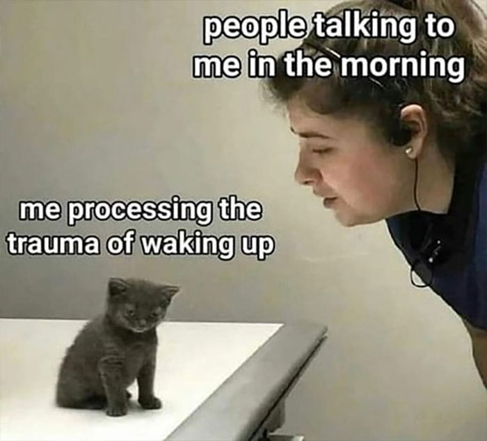 People talking to me in the morning meme