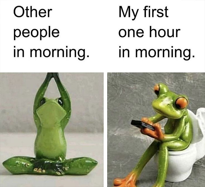 Frog doing yoga in the morning meme