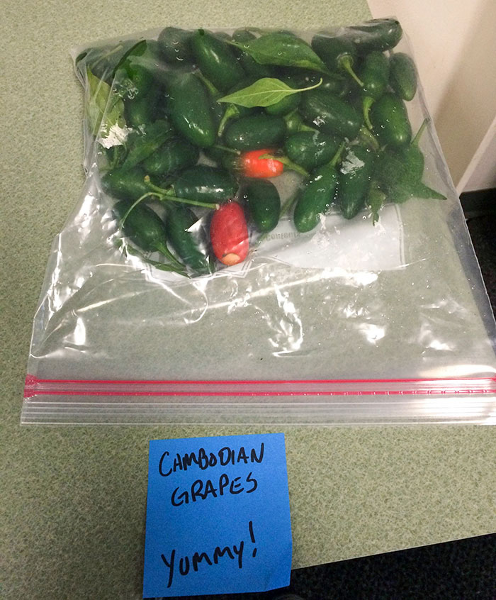 Sometimes Your Coworkers Are Jerks