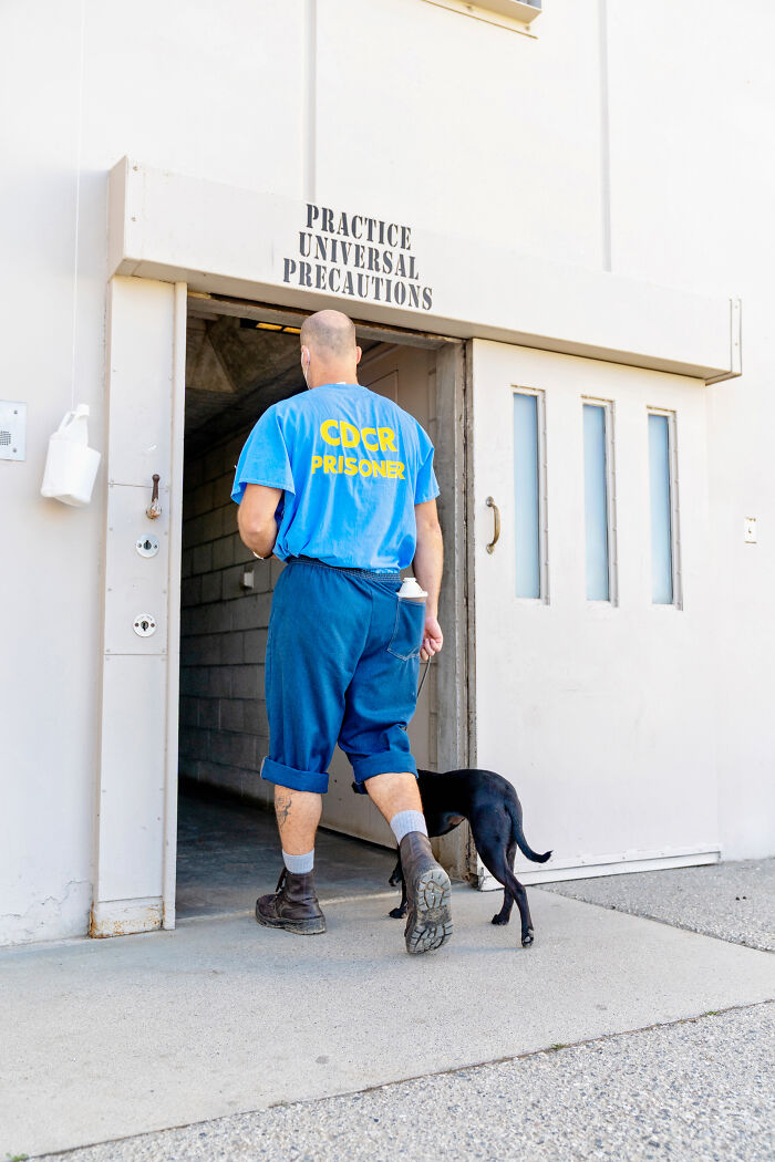 I Photographed Shelter Dogs In Training In A Maximum Security Prison I Photographed Shelter Dogs In Training In A Maximum Security Prison