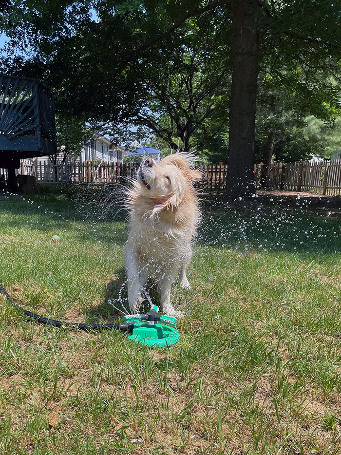 First Hot Day This Year Calls For Sprinkler Time
