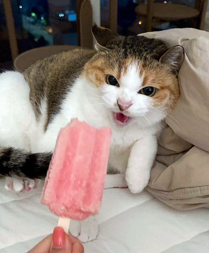 When It's Very Hot But The Ice Cream Hurts Your Teeth