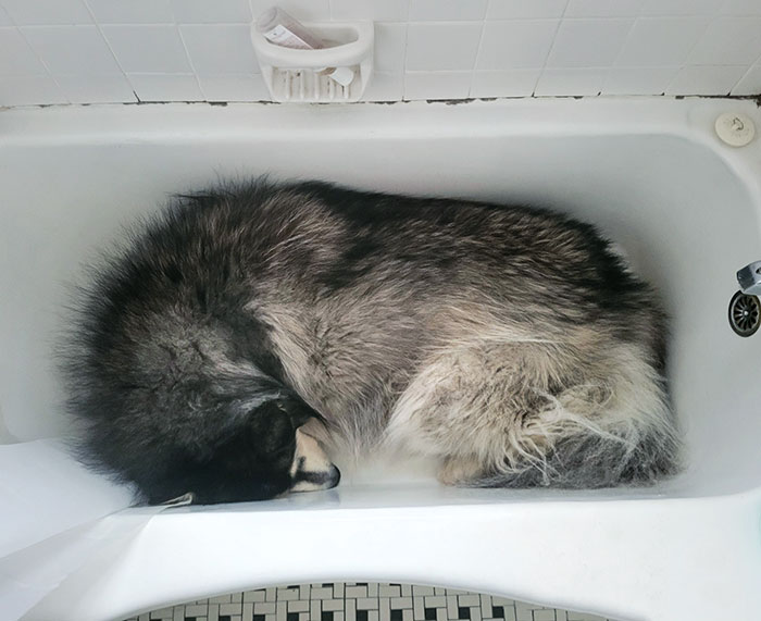 Derpy Baby Laying In The Cool Bathtub