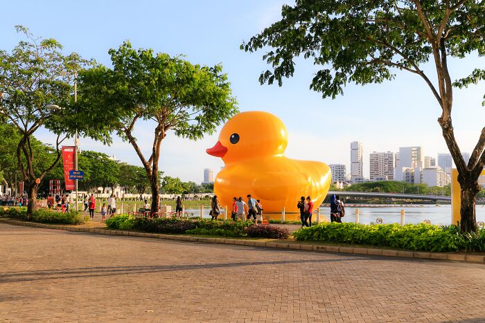 Giant Rubber Ducky In Water At The Park 