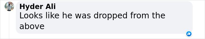 Millennium-Old 'Alien Corpses' Undergo Lab Tests: Mexican Doctors Claim Bodies Are Complete Skeletons Millennium-Old 'Alien Corpses' Undergo Lab Tests: Mexican Doctors Claim Bodies Are Complete Skeletons