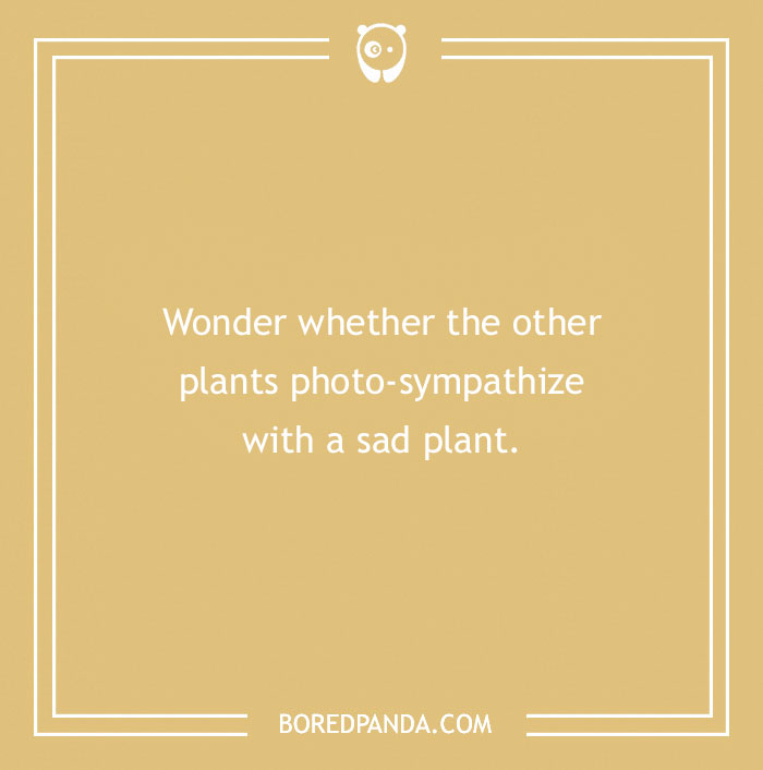 A Collection of 148 Plant Puns That Will Leaf You Chuckling