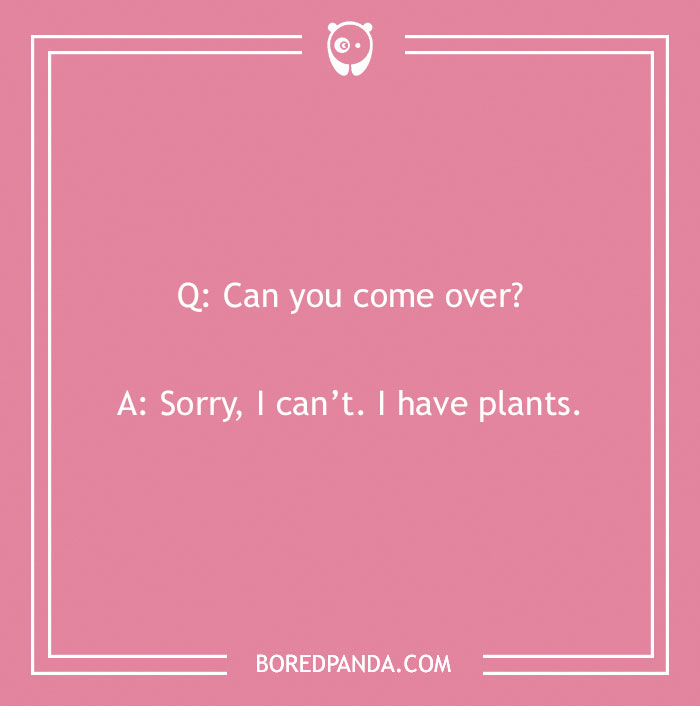 A Collection of 148 Plant Puns That Will Leaf You Chuckling