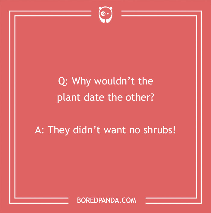 A Collection of 148 Plant Puns That Will Leaf You Chuckling