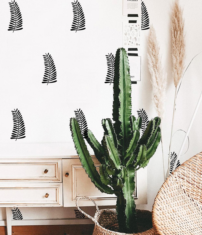 White wallpaper with black leaves and cactus in front of it 