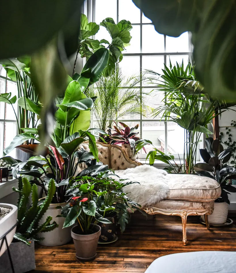 Green Sunroom Filled With Plants And A Sofa In The Middle