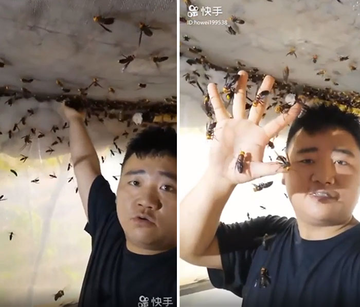 This Guy Handling Those Giant Wasps