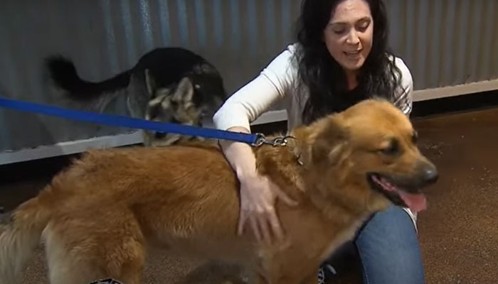 "Serial Squatter" Takes Over Four-Bedroom Home, Holds Residents' House Hostage "Serial Squatter" Takes Over Four-Bedroom Home, Holds Residents' House Hostage