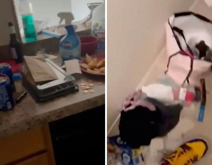 "Serial Squatter" Takes Over Four-Bedroom Home, Holds Residents' House Hostage "Serial Squatter" Takes Over Four-Bedroom Home, Holds Residents' House Hostage