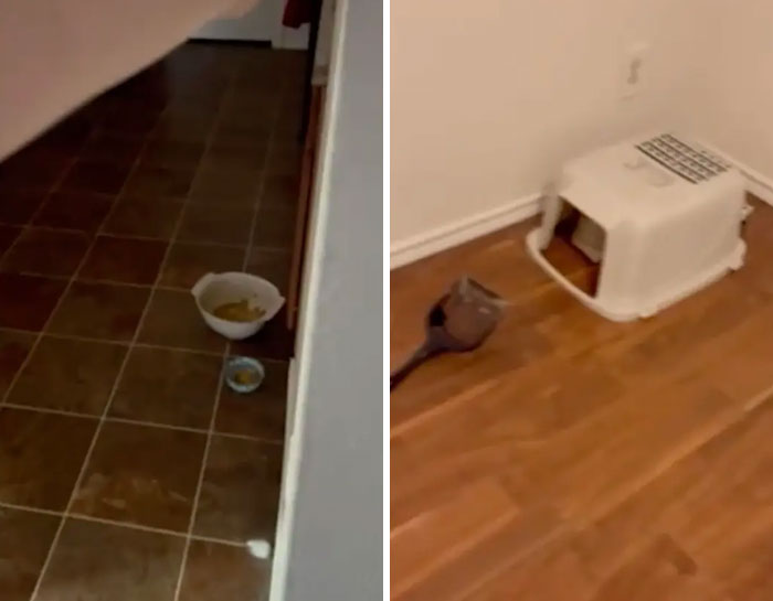 "Serial Squatter" Takes Over Four-Bedroom Home, Holds Residents' House Hostage "Serial Squatter" Takes Over Four-Bedroom Home, Holds Residents' House Hostage