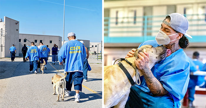 I Photographed Shelter Dogs In Training In A Maximum Security Prison