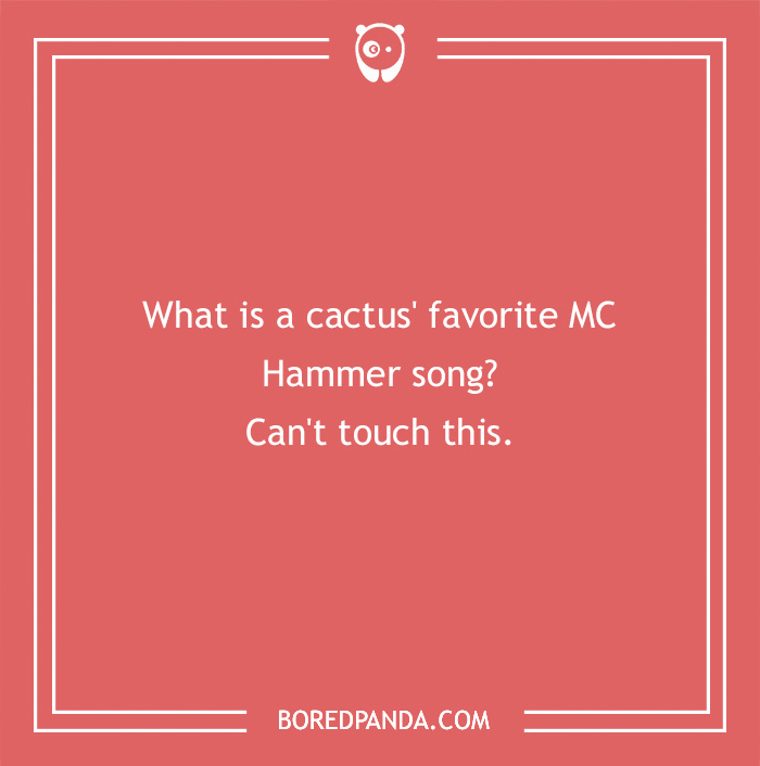 101 Flower Puns To Plant In Your Garden Of Jokes Bored Panda