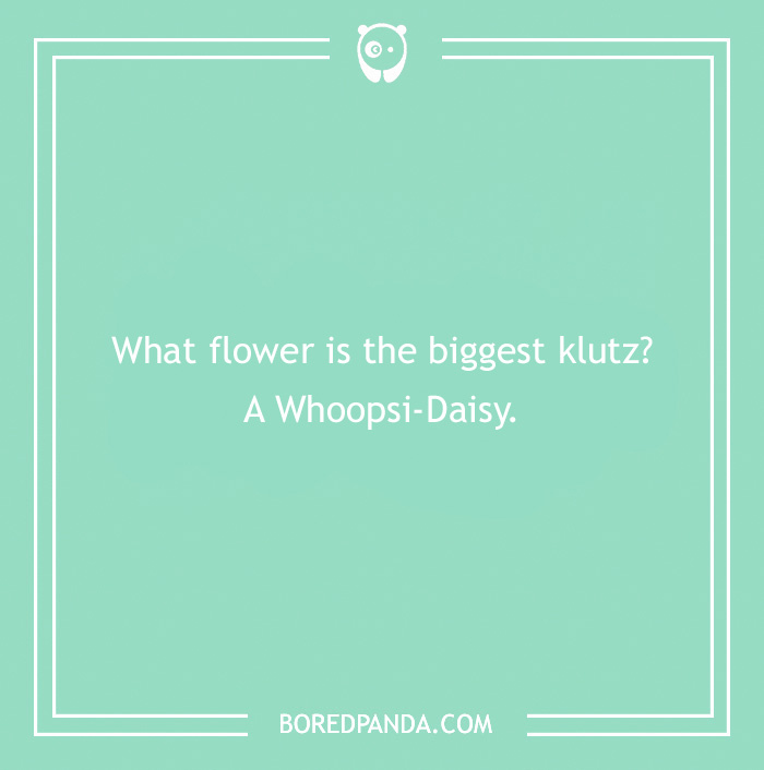 101 Flower Puns To Plant In Your Garden Of Jokes Bored Panda