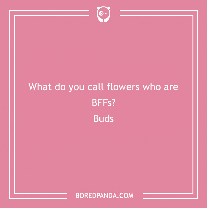101 Flower Puns To Plant In Your Garden Of Jokes