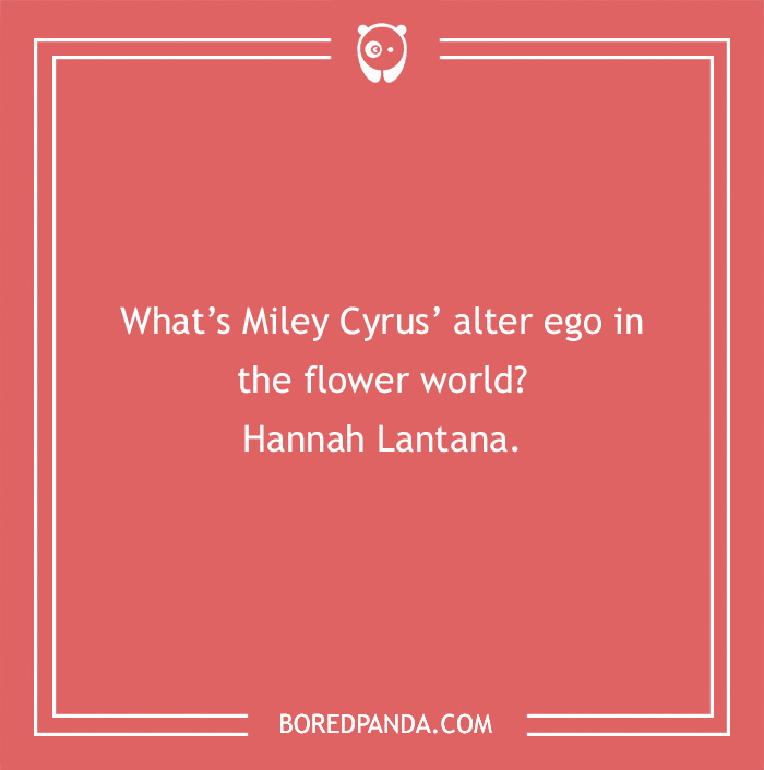 101 Flower Puns To Plant In Your Garden Of Jokes