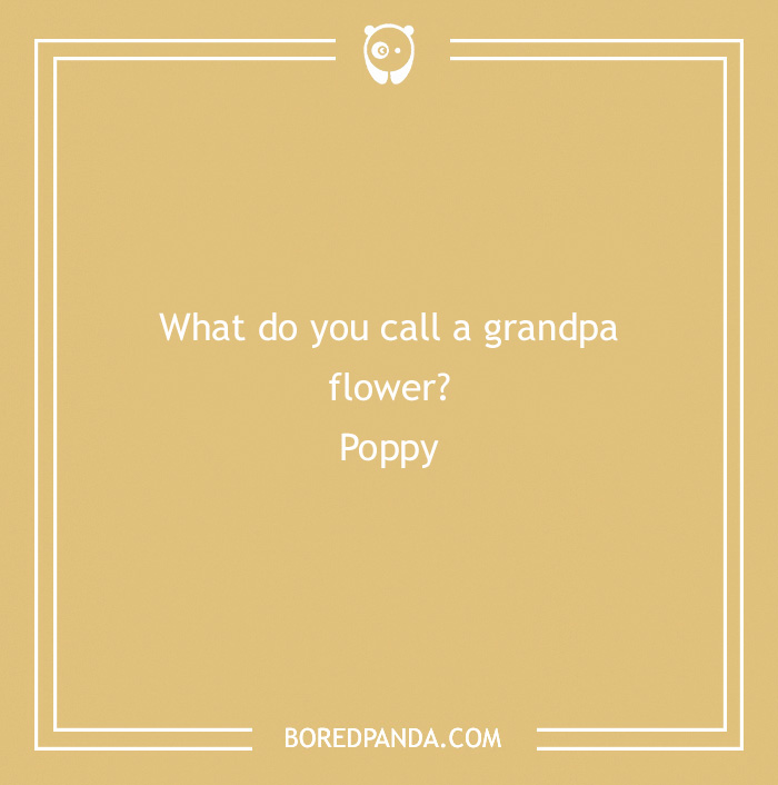 101 Flower Puns To Plant In Your Garden Of Jokes