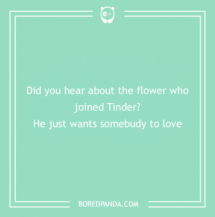 101 Flower Puns To Plant In Your Garden Of Jokes Bored Panda