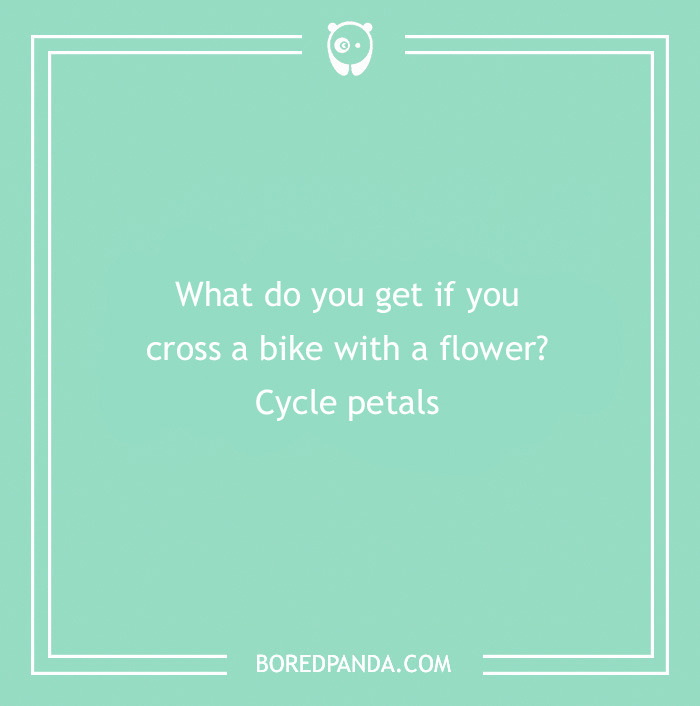 101 Flower Puns To Plant In Your Garden Of Jokes