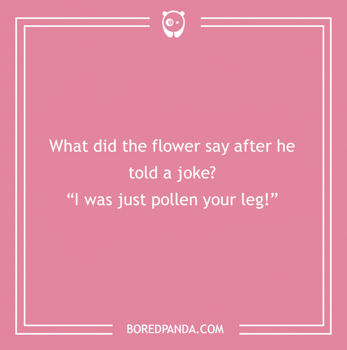 101 Flower Puns To Plant In Your Garden Of Jokes