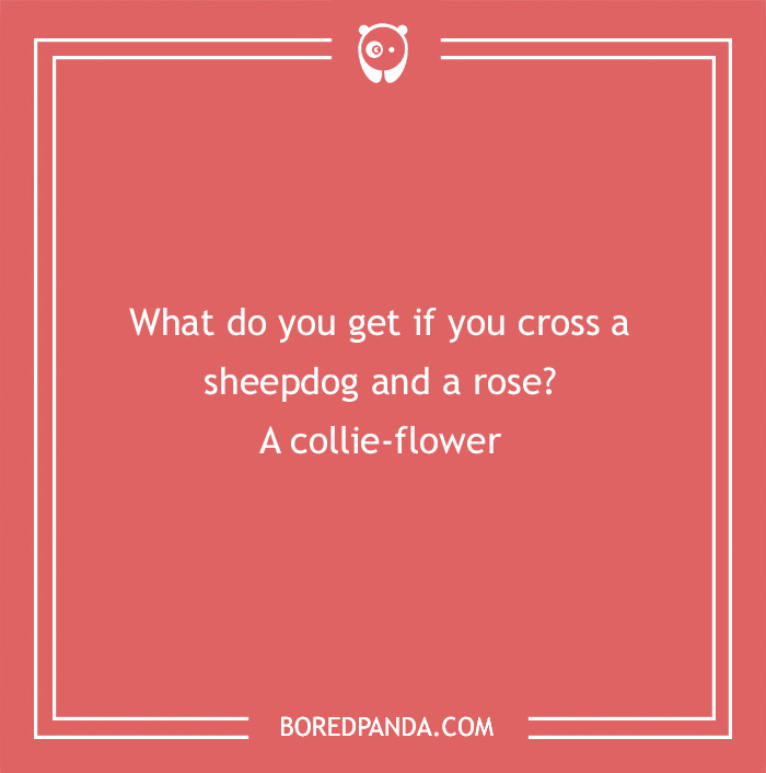 101 Flower Puns To Plant In Your Garden Of Jokes
