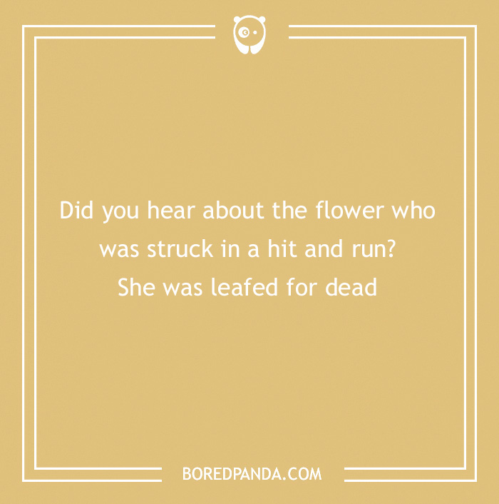 101 Flower Puns To Plant In Your Garden Of Jokes